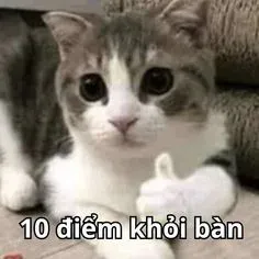 10 điểm meme 8