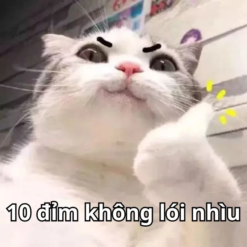 10 điểm meme 11