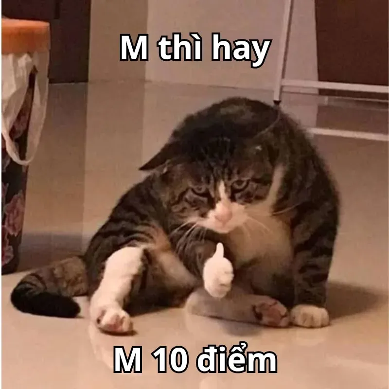 10 điểm meme 29