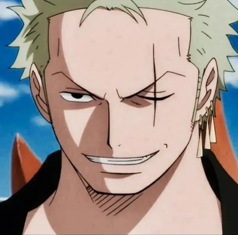 Ảnh anime zoro 13