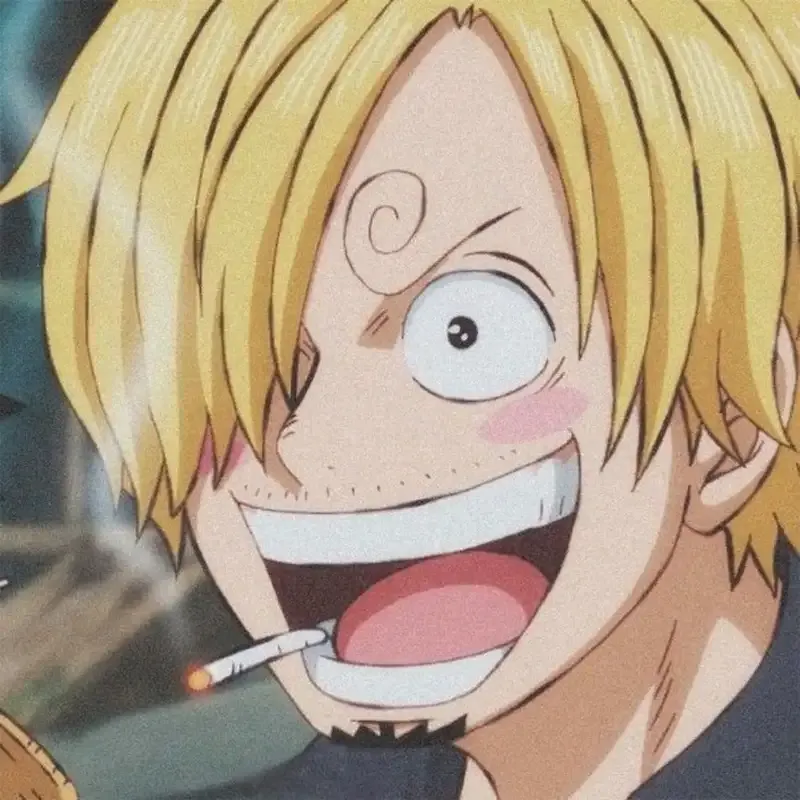 Ảnh sanji 45