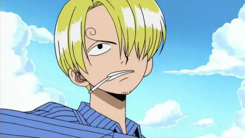 Ảnh sanji 8