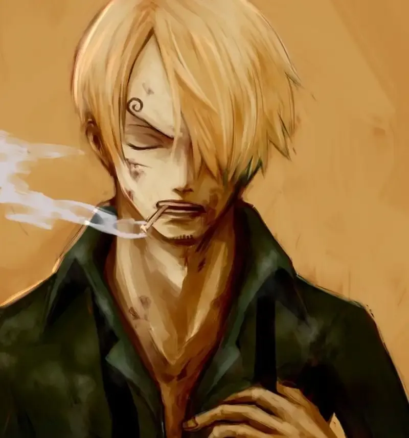 Ảnh sanji 47