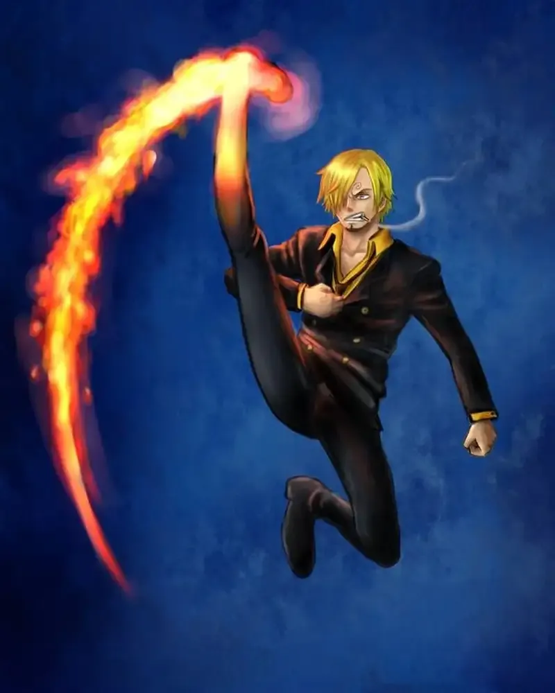 Ảnh sanji 49