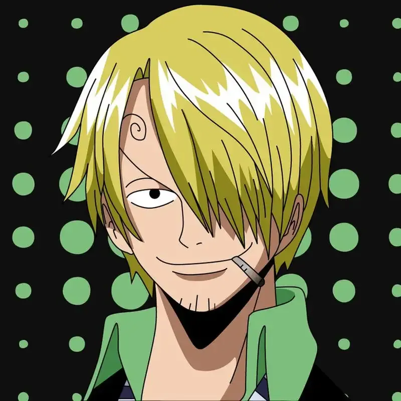 Ảnh sanji 20