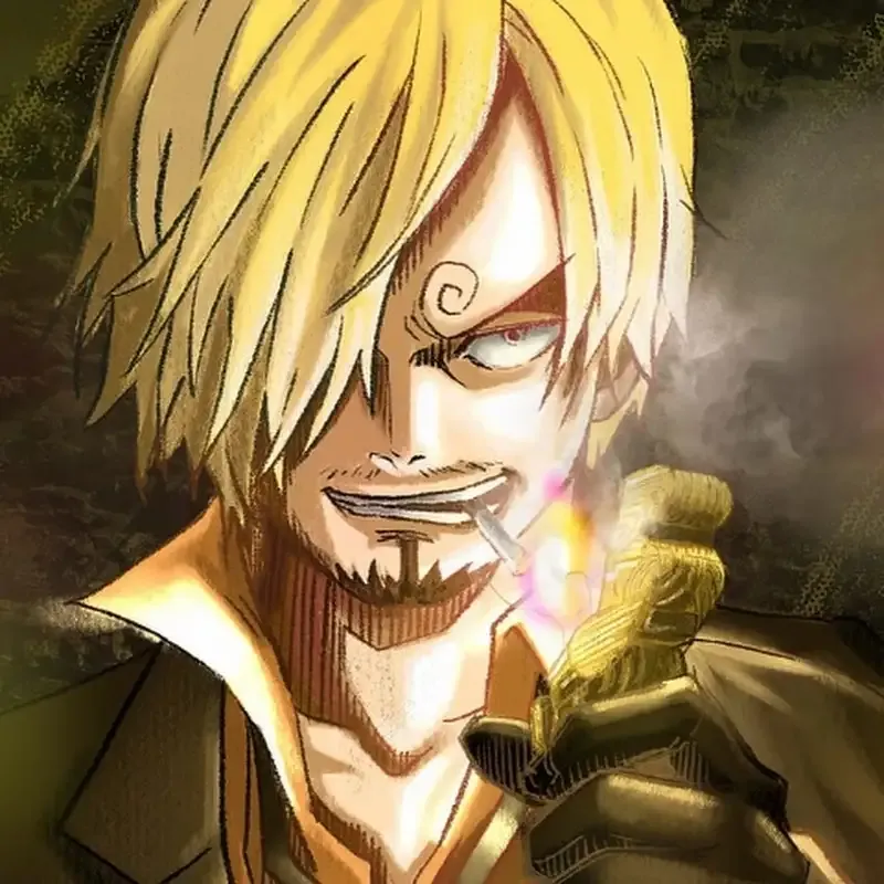 Ảnh sanji 10