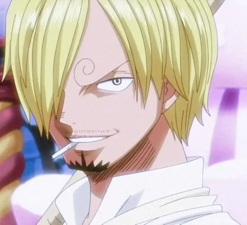 Ảnh sanji 11