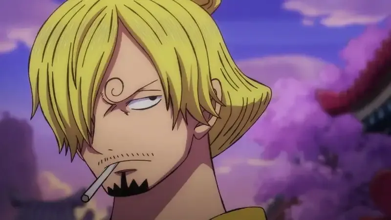 Ảnh sanji 22