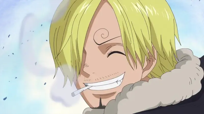 Ảnh sanji 13