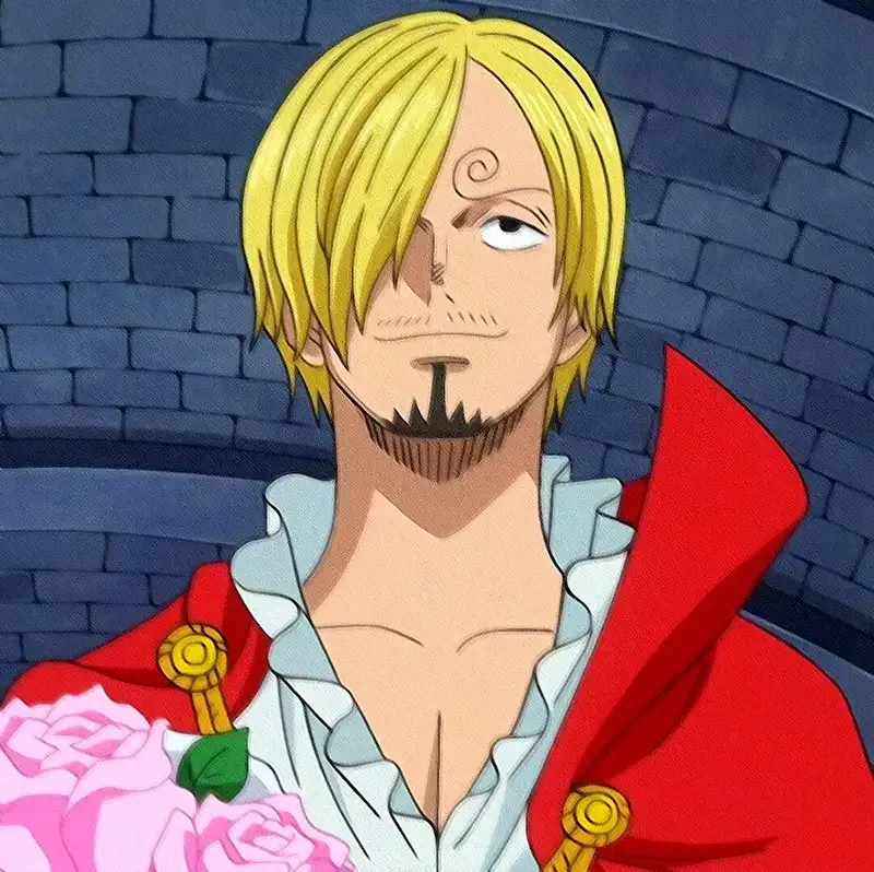 Ảnh sanji 14