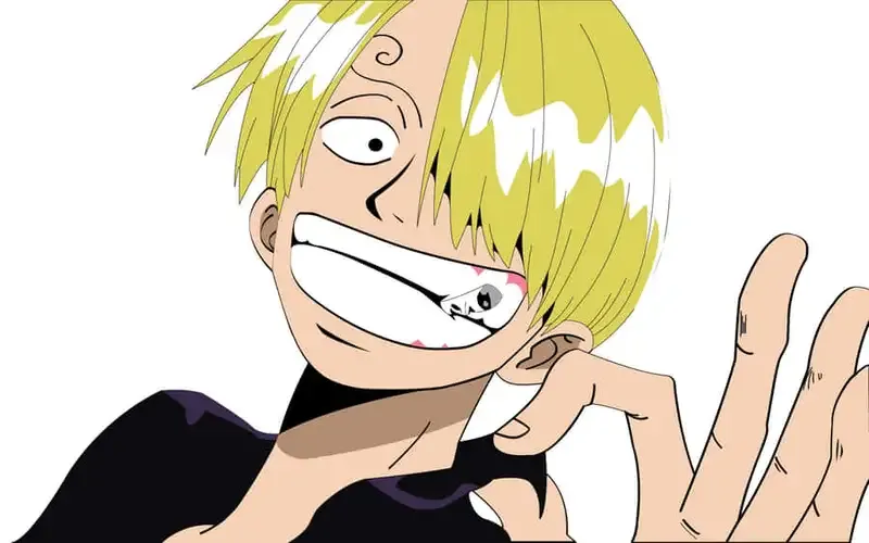 Ảnh sanji 23