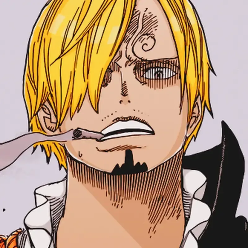 Ảnh sanji 25