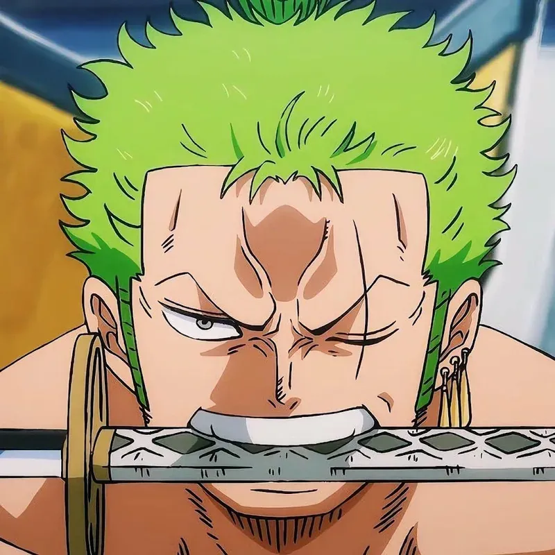 ảnh zoro chibi ngầu 25