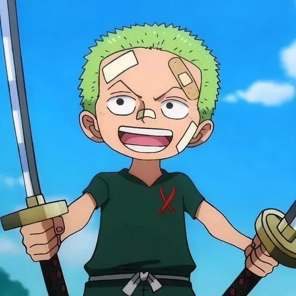 ảnh zoro chibi ngầu 53