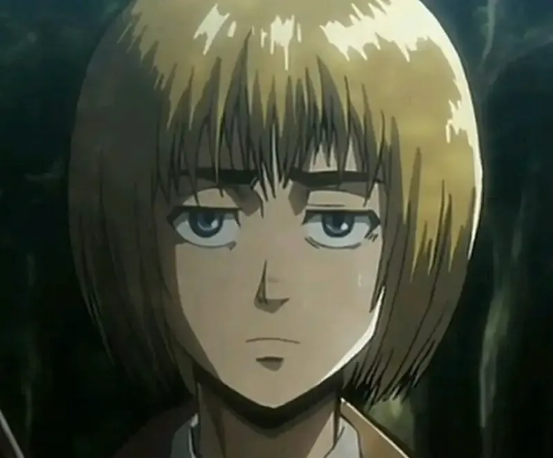 Armin Arlert  6