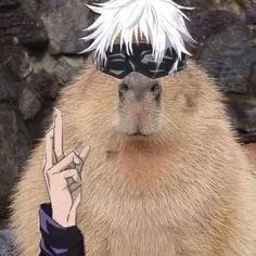 capybara meme 18