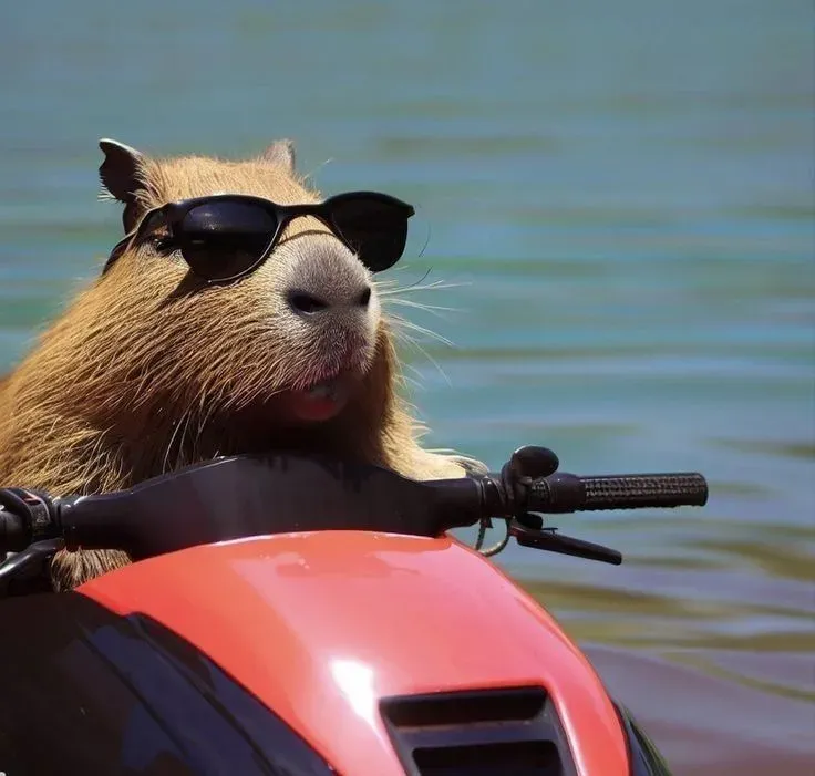 capybara meme 22