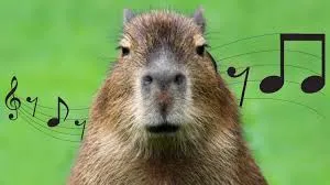 capybara meme 28