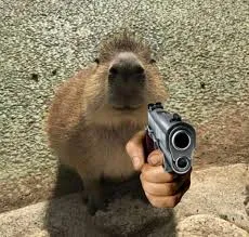 capybara meme 36