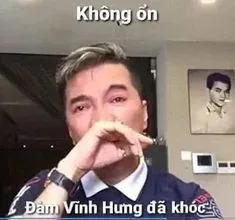 đàm vĩnh hưng meme 9