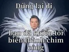 đàm vĩnh hưng meme 14