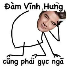 đàm vĩnh hưng meme 15