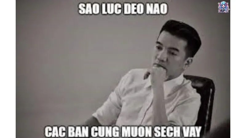 Khám phá bộ ảnh đàm vĩnh hưng meme hài hước gây bão mạng