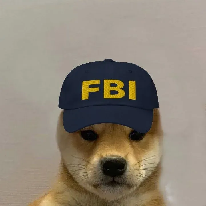 fbi meme 11