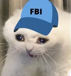 fbi meme 19