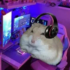 hamster meme 3