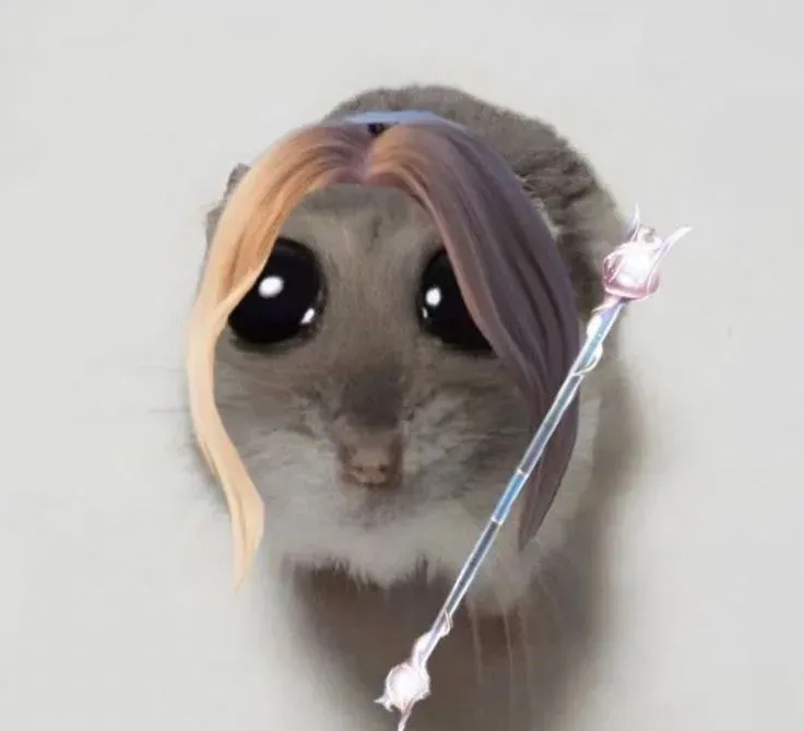 hamster meme 13