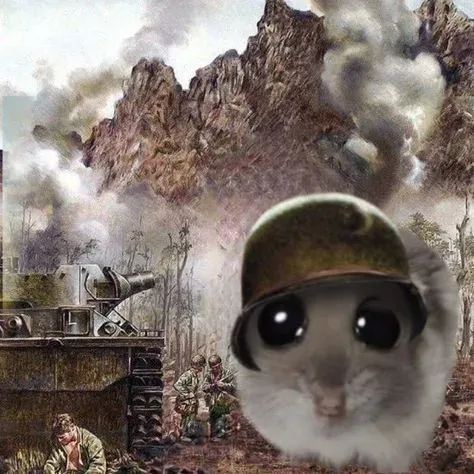 hamster meme 18