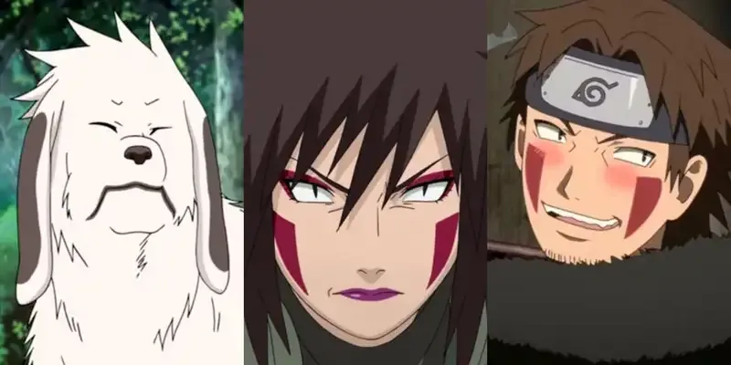 Kiba Inuzuka  24