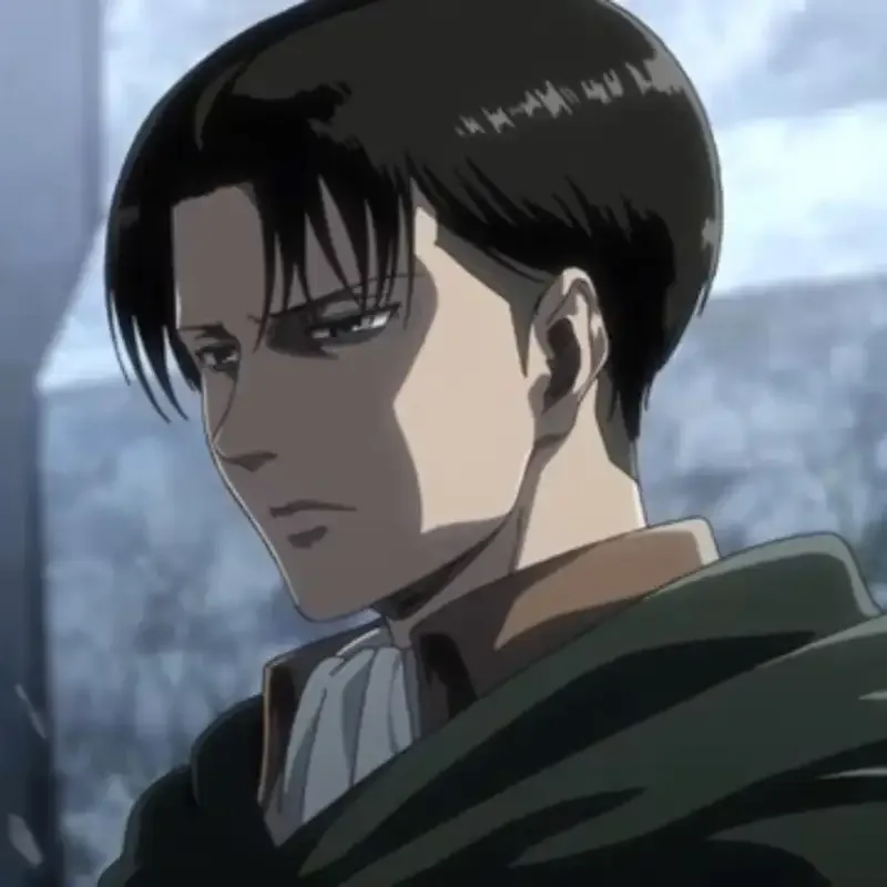 Levi Ackerman  23