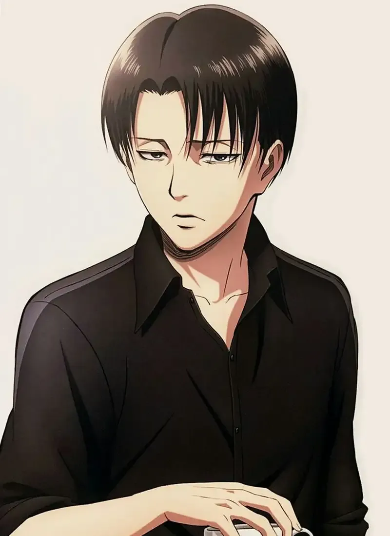 Levi Ackerman  24