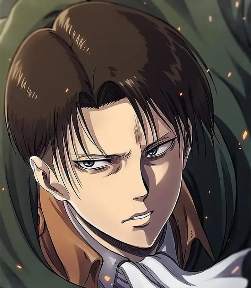 Levi Ackerman  29