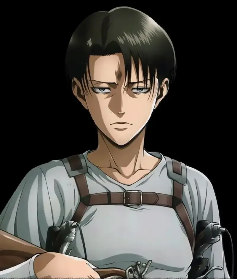 Levi Ackerman  30