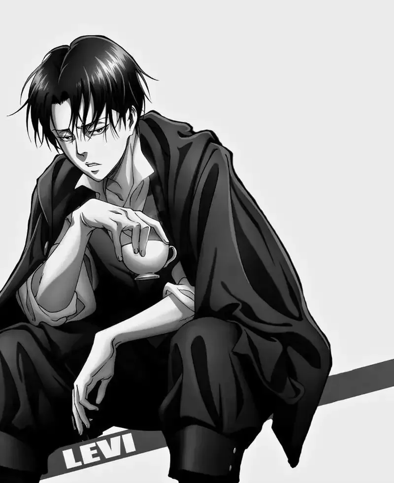 Levi Ackerman  32