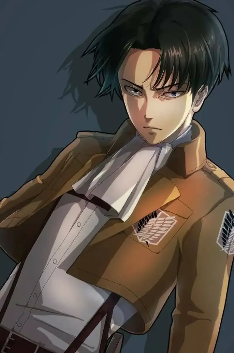 Levi Ackerman  35