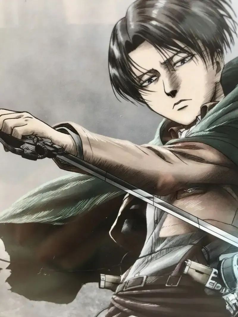 Levi Ackerman  37