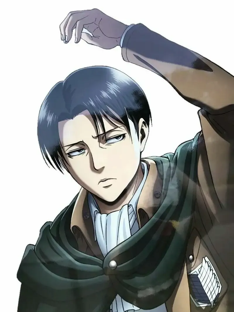 Levi Ackerman  47