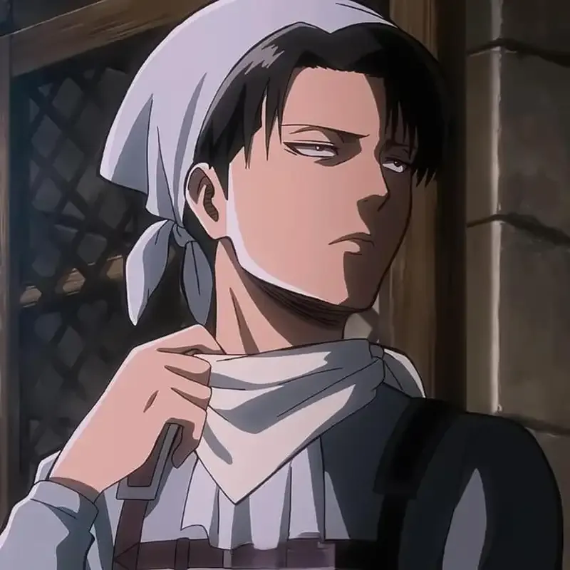 Levi Ackerman  48