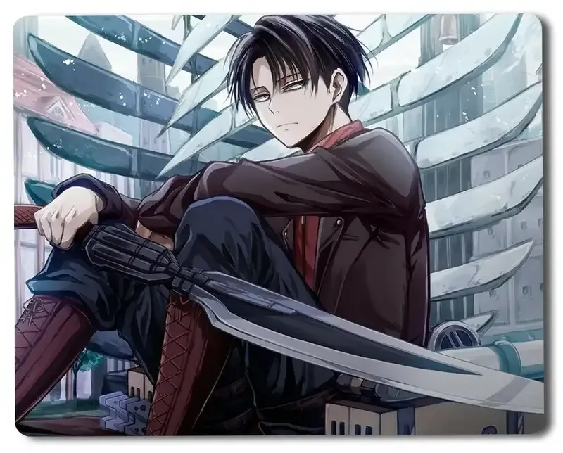 Levi Ackerman  55