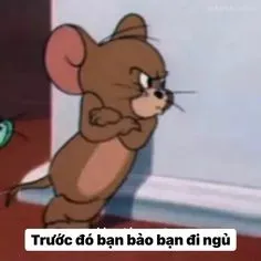 meme bất lực 25