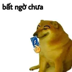 meme bất ngờ 7