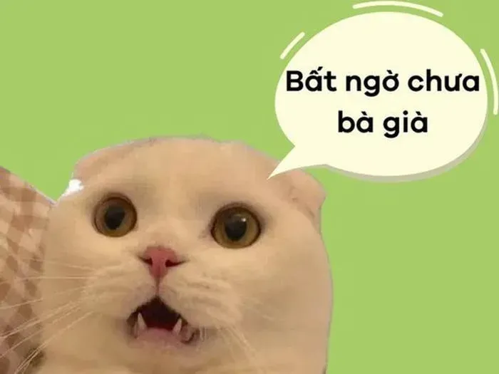 meme bất ngờ 15