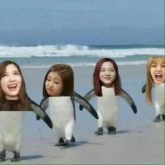 meme blackpink 12