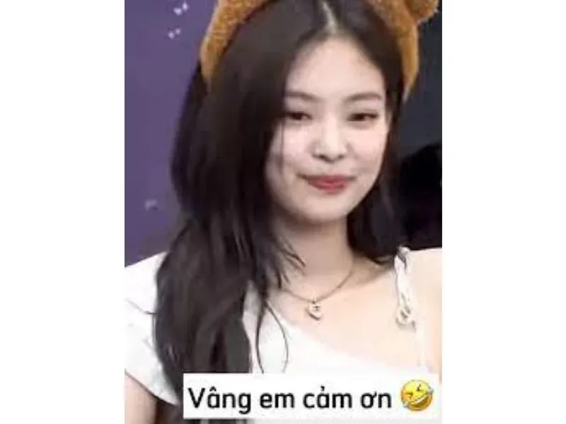 meme cảm ơn 4