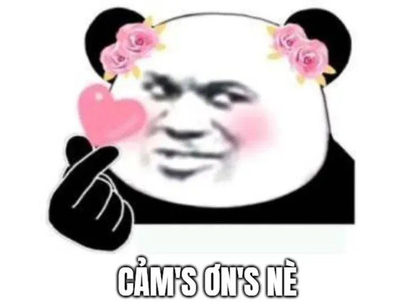 meme cảm ơn 11