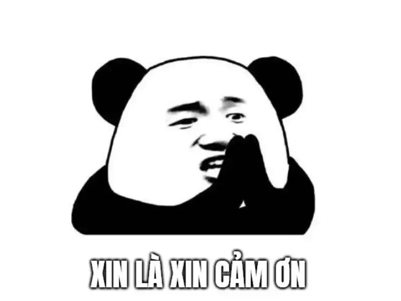 meme cảm ơn 13